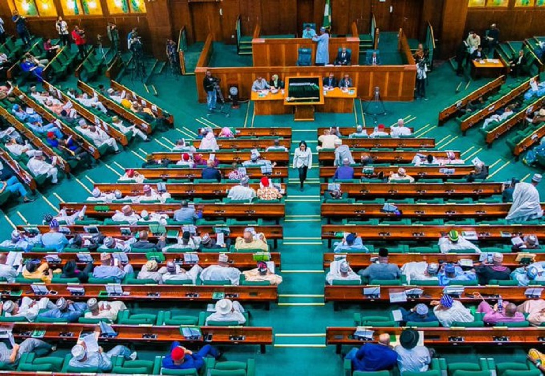 Insecurity: Reps Directs FG to Withdraw Airstrip Licence Granted to Oyedepo, Others