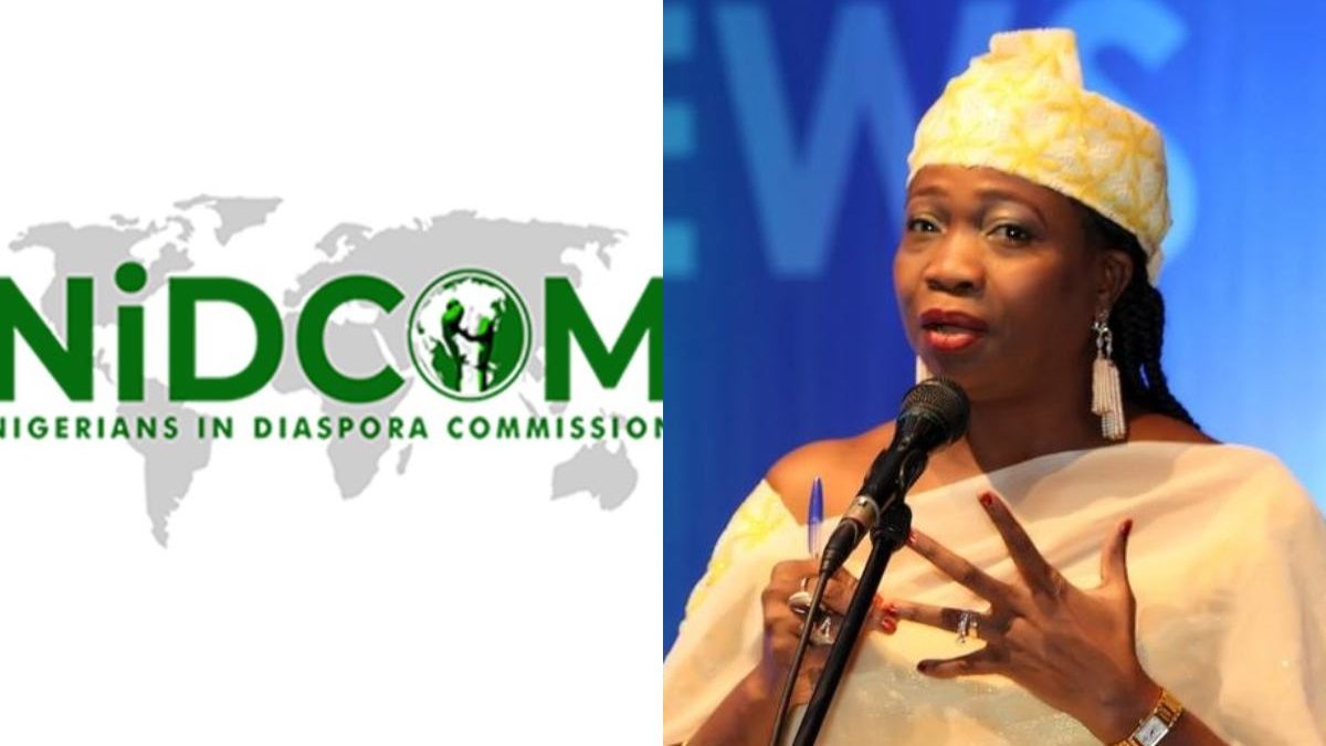 NIDCOM again raises alarm over shady groups canvassing for diaspora investments