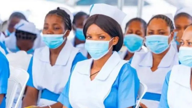 NASS Directs Nursing Council to Resume Verification of Nurses, Midwives