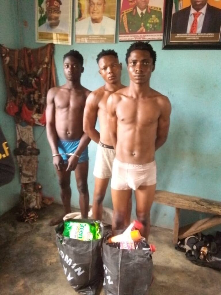 Amotekun arrests three teenagers for burglary in Omuo Ekiti