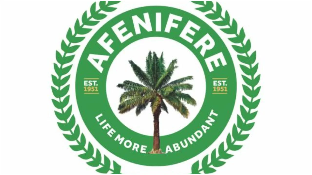 Influx of bandits: Afenifere demands security beef up in South-West